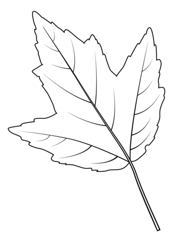 Red Maple Leaf Coloring Page